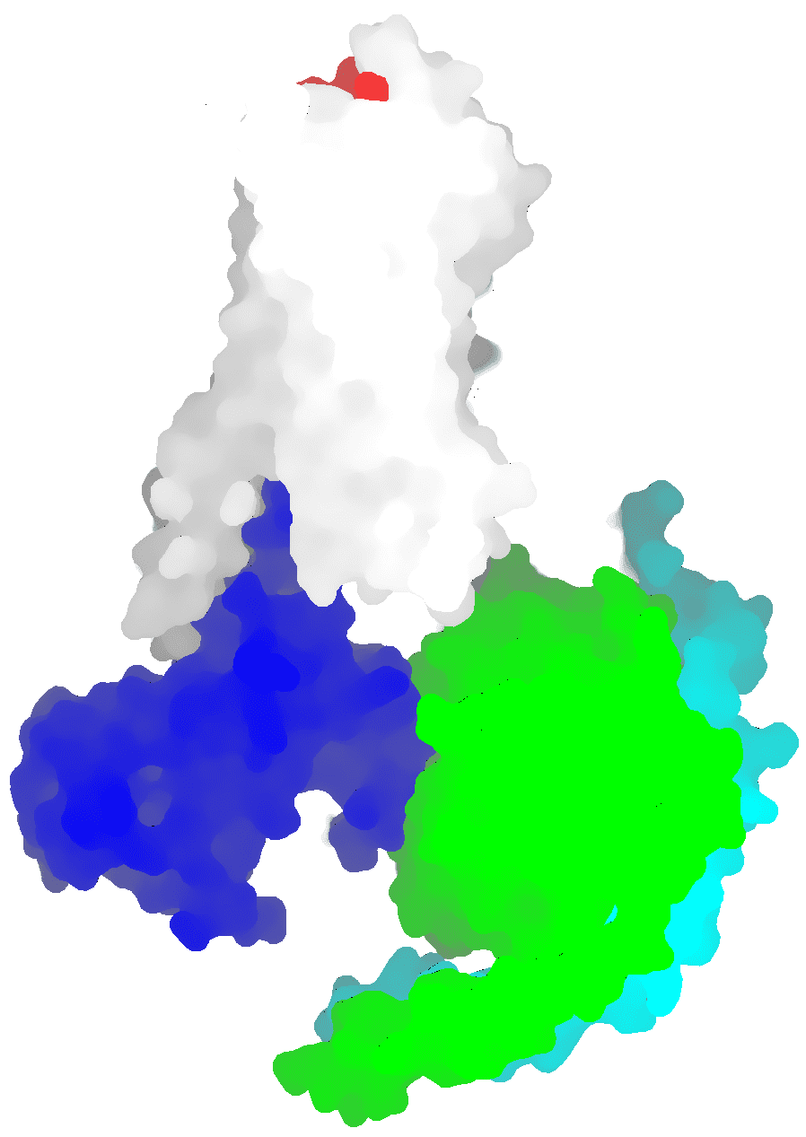 AlphaMol won the international GPCR-DOCK 2021 contest