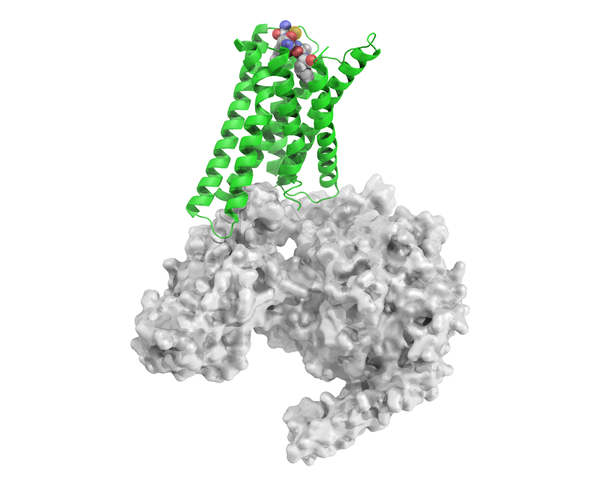 AlphaMol received milestone payments from both Shanghai Pharma and Salubris Pharma